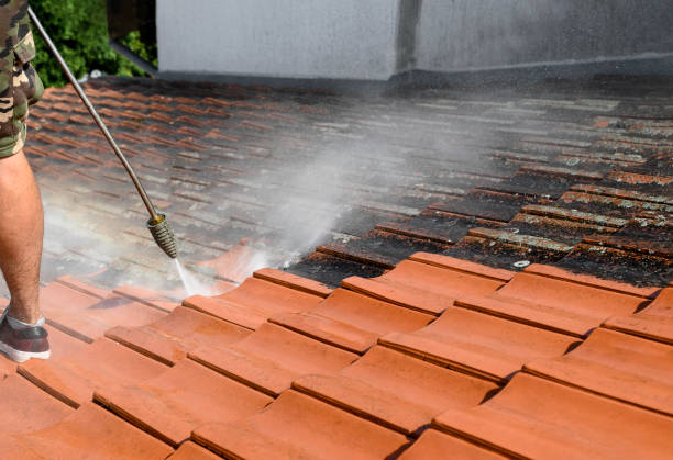 Best House Pressure Washing  in Greenland, AR